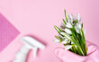 Spring cleaning concept. Spring flowers in hand, cleaner and sponge on a pink background. Top view. Copy space.