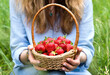 A young woman holds a basket of ripe strawberries. Healthy food. Selective focus.