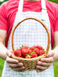 Young male farmer holds a basket with fresh ripe strawberries in his hands. Harvesting strawberries. Close-up.