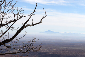 Poster - Cloudy sky, tree branch and mountain landscape