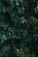 Wall Mural - A close up of green leaves with a bright yellow spot in the middle