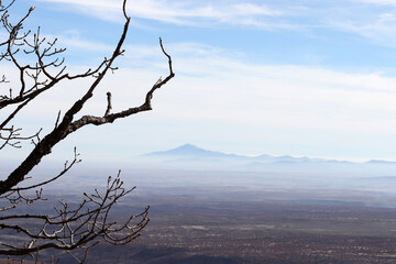 Poster - Cloudy sky, tree branch and mountain landscape