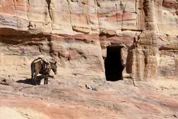 Wall Mural - View at the tombes in Petra in Jordan