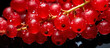 Fresh red currants fruit, with water drops over it, closeup macro detail. Generative AI