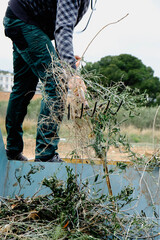 Wall Mural - man use a garden fork to throw plant remains