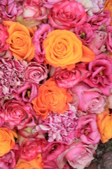 Wall Mural - Pink Orange wedding flowers