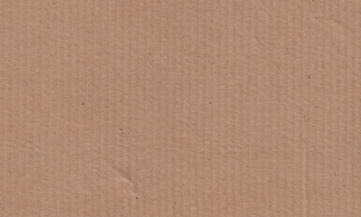 Wall Mural - cardboard texture background