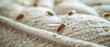 © Seksan - Close-up view of bed bugs moving in a cluster on a light-colored mattress, detailed textures visible