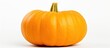 © HN Works - A copy space image of a seedless cut pumpkin from the Cucurbita moschata species is shown against a plain white backdrop