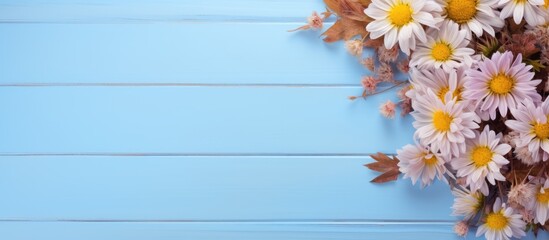 Poster - Autumn flowers beautiful asters on a light blue wooden background with copy space image Flat lay