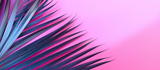 Fototapete - Copy space image of a palm tree leaf against a vibrant pink backdrop