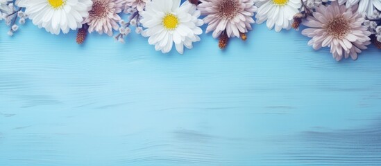 Poster - Autumn flowers beautiful asters on a light blue wooden background with copy space image Flat lay