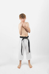 Wall Mural - A Shirtless Teenage Karate Boy