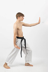 Wall Mural - A Shirtless Teenage Karate Boy