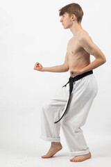 Wall Mural - A Shirtless Teenage Karate Boy