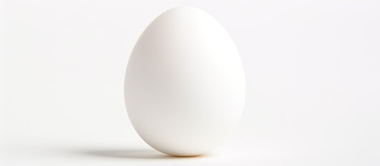 Poster - A white egg with shadow isolated on a white background in a close up copy space image