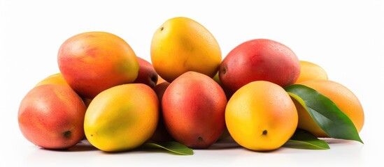 Poster - A copy space image of mangos placed on a clean white background