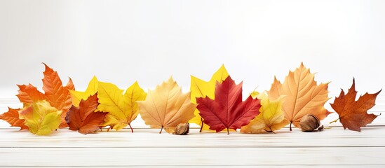 Poster - Colorful autumn leaves displayed on a white table providing an inviting and visually appealing copy space image