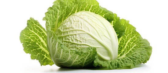 Poster - Copy space image of white background with fresh cabbage