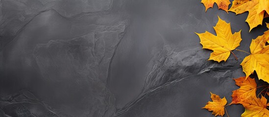 Aufkleber - Fall nature background with a copy space image featuring maple leaves in shades of orange and yellow on a gray slate tile