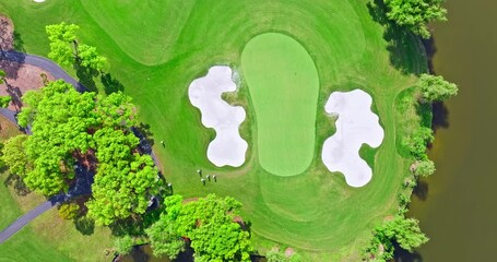 Wall Mural - Aerial view of green grass and trees on a golf fields. green golf course in summer. Top view.