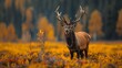 Wild deer with majestic antlers grazing in a grassy field. Generative AI