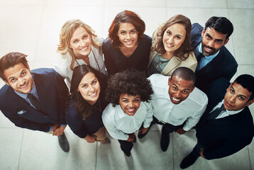 Wall Mural - Business people, happy and portrait of group with top view in office for corporate staff, finance team and diversity. Collaboration, professional employees and HR with smile for recruitment or career