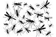 © Ева Поликарпова - A group of black and white mosquitos. Suitable for pest control advertisement