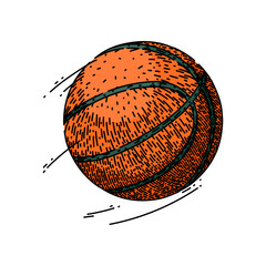 Wall Mural - orange basketball ball hand drawn. equipment competition, line texture, leather circle orange basketball ball vector sketch. isolated color illustration