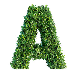 Wall Mural - The letter 'A' in the shape of a bush, SANS SERIF FONT, isolated on a white transparent background