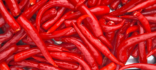 Poster - Red chilli for spicy cooking, background