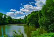 Summer landscape, the river in the park, tree in the park