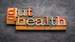 gut health - word abstract in vintage letterpress wood type printing blocks, digestive health concept
