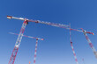 Cranes of a construction site against blue sky