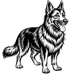  Графика и иллюстрации