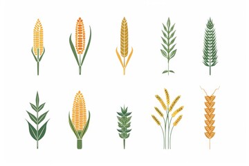 Poster - Collection of different plant species on a white backdrop, suitable for botanical presentations