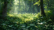 © Muhammad - A serene morning in a deciduous forest with sunlight filtering through dense, vibrant green leaves, highlighting a carpet of ferns and wildflowers