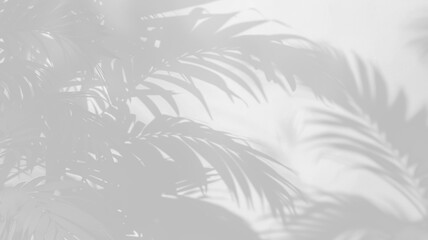 Light and shadow from different tropical leaves, overlay effect of shadows isolated on transparent background