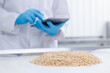Worker with computer tablet control quality of nut pine cedar in laboratory, white background. Concept nuts factory food industry