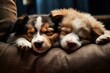 Two dogs sleeps together. Funny pet love. Generate Ai