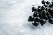 Black currant on ice. Close up of black berries on icy background with copy space for design or advertising banner.