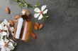 Almond oil in bottle, flowers and nuts on grey textured table, flat lay. Space for text