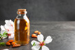 Almond oil in bottle, flowers and nuts on grey textured table, closeup. Space for text