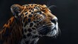 A jaguar is staring at the camera with its mouth open. The image has a moody and mysterious feel to it, as the jaguar's gaze seems to be searching for something