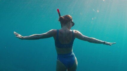 Poster - Woman swims underwater in the tropical sea and hangs in the depth