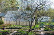 Orchard with greenhouse in the background in early spring.