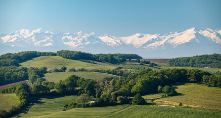 Wall Mural - Countryside landscape in the Gers department in southwestern France with the Pyrenees mountains in the background