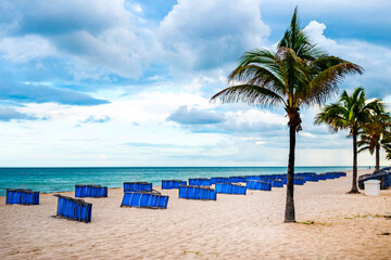 Poster - Beach loungers, chairs and beach umbrellas in South Beach, with its clear waters, palm trees.  Miami. Florida, USA, Jan 2019.