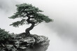 Pine tree on a rock in the fog