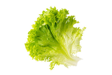 Wall Mural - Lettuce organic salad, fresh green hydroponic vegetable isolated on white, transparent background. Salad leaf close up. Vegetarian food, healthy lifestyle